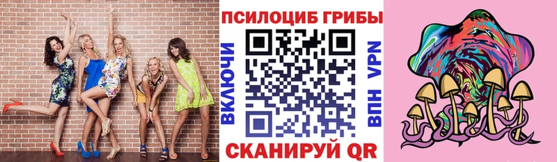 Купить где  Палласовка  Галлюциногенные грибы Psilocybine cubensis 